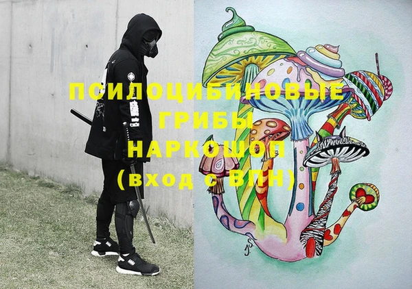 apvp Володарск