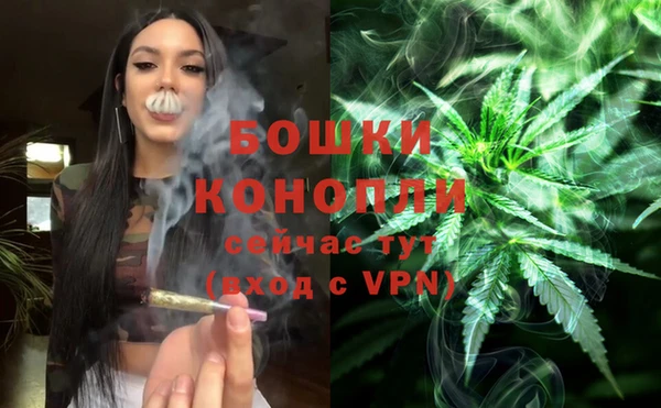 apvp Володарск