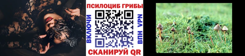 купить закладку  Лысьва  Псилоцибиновые грибы GOLDEN TEACHER 